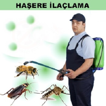 Denizli Böcek İlaçlama